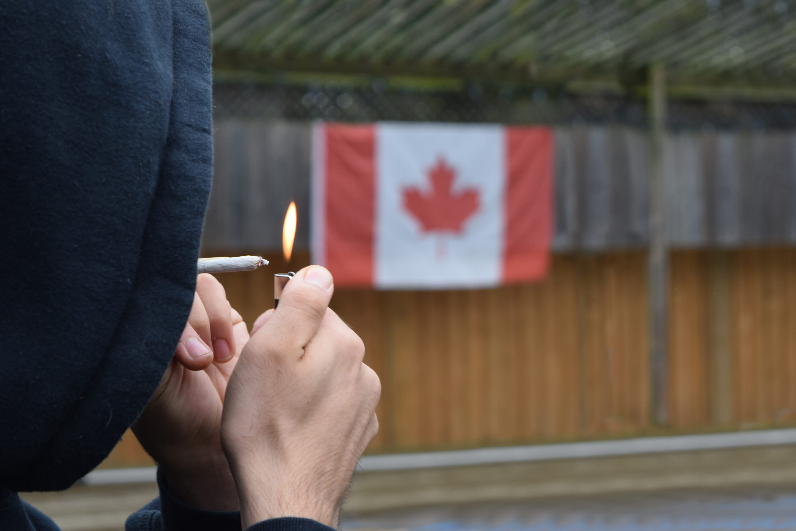 Increasing opioid misuse in Canadian youth