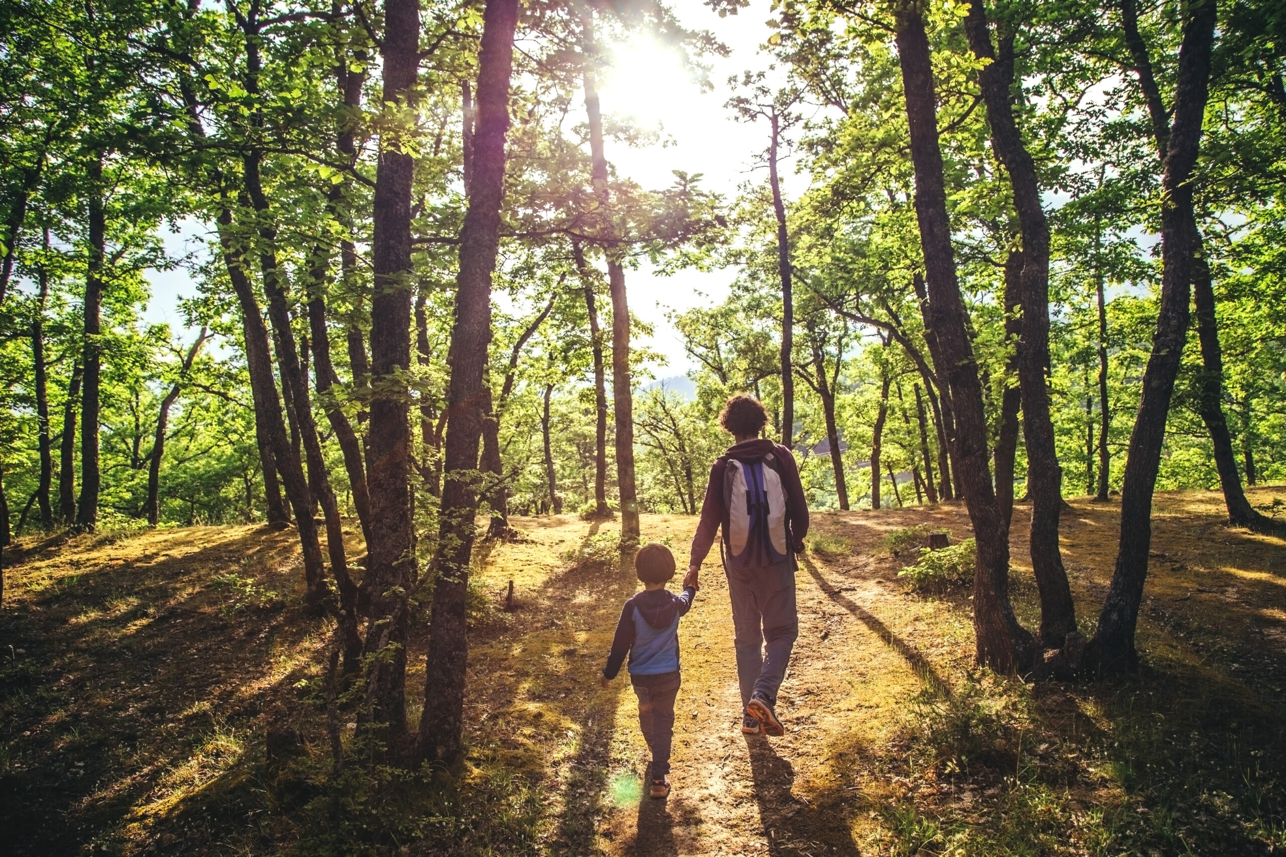 The right to a healthy environment is a fundamental human right: the UN HRC Resolution