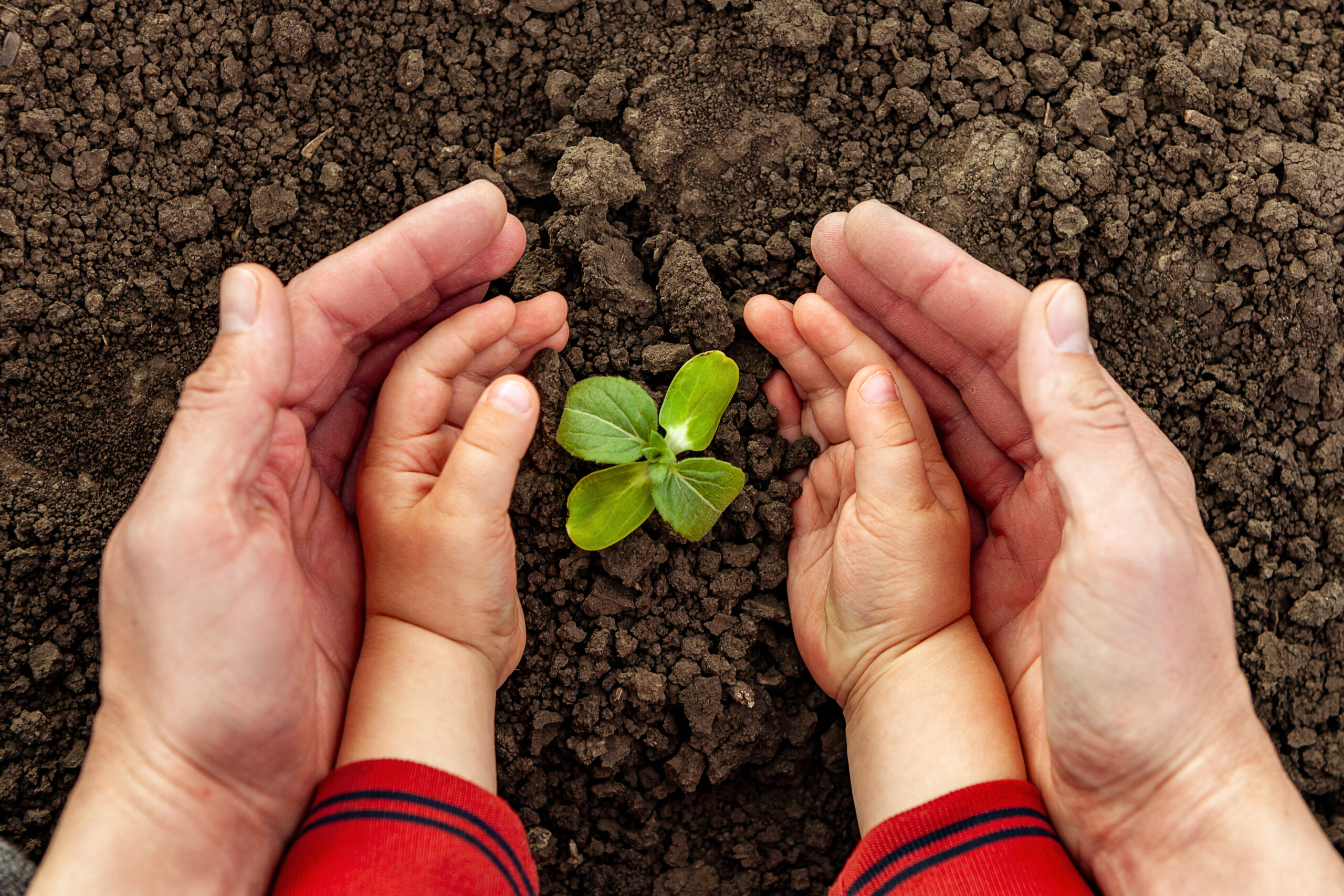 Humanium’s struggle to protect environmental rights coordinated with the Working Group on Environment