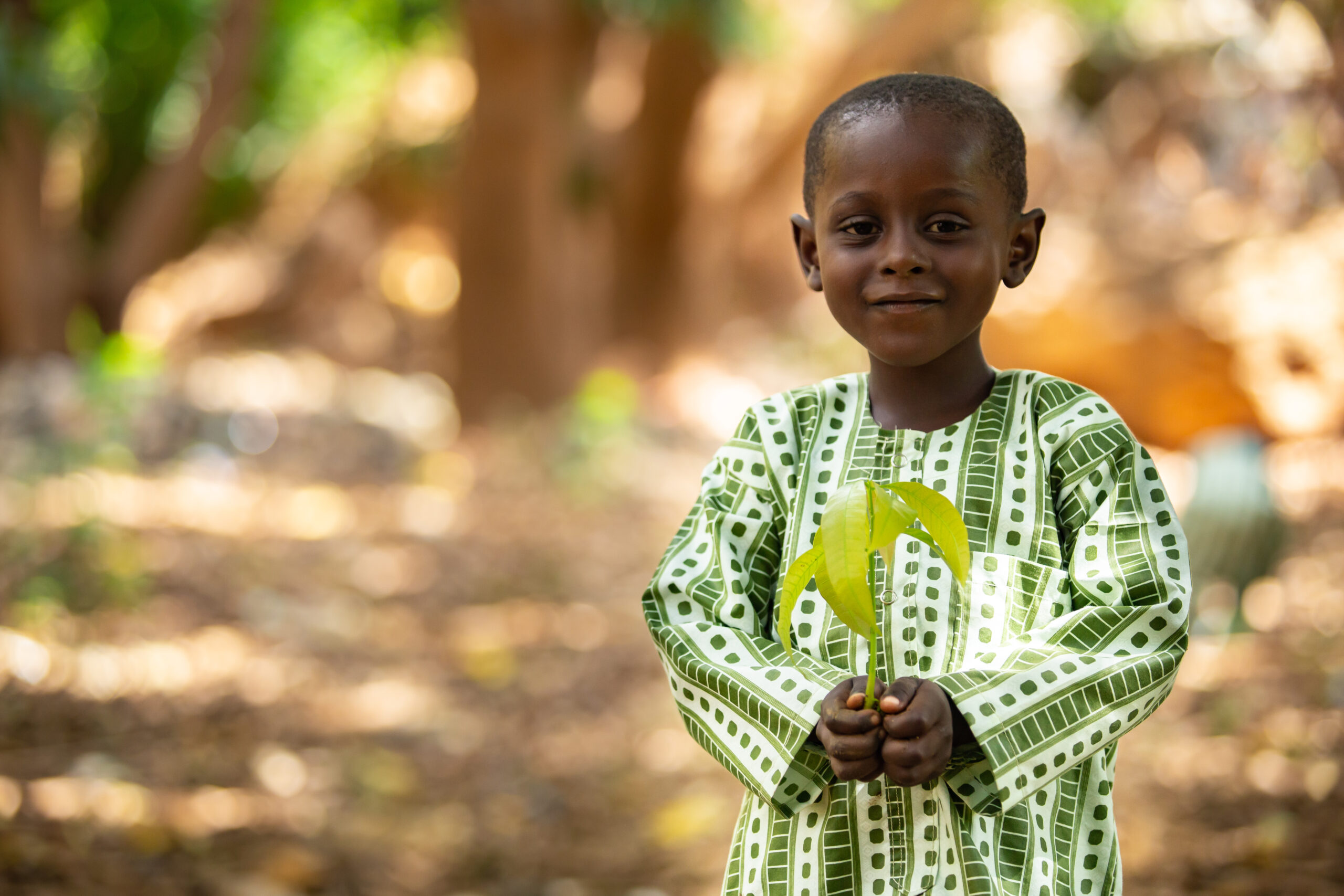 Child Marriage in the Sub-Saharan Africa: the Case of Niger