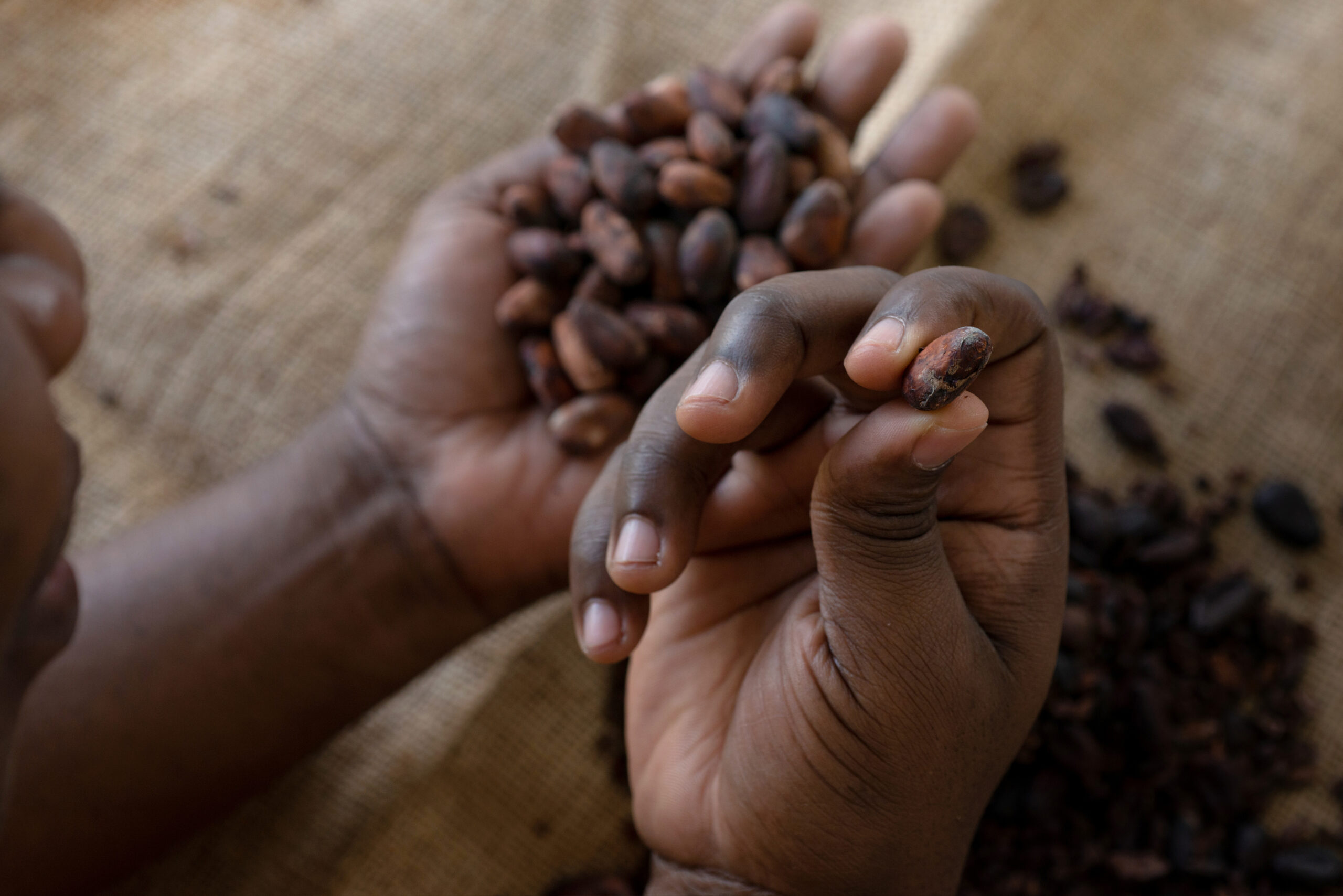 The dark side of chocolate: child labour in the cocoa industry