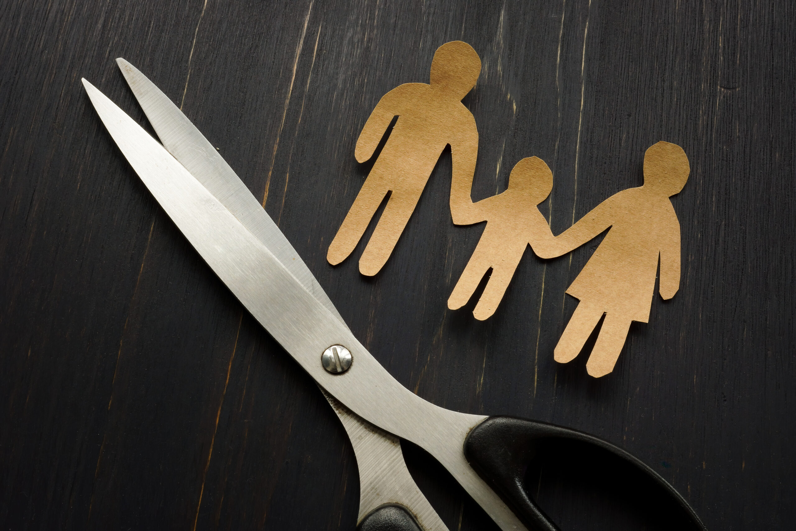 The impact of ‘parental alienation’ on the best interests of the child in domestic abuse cases