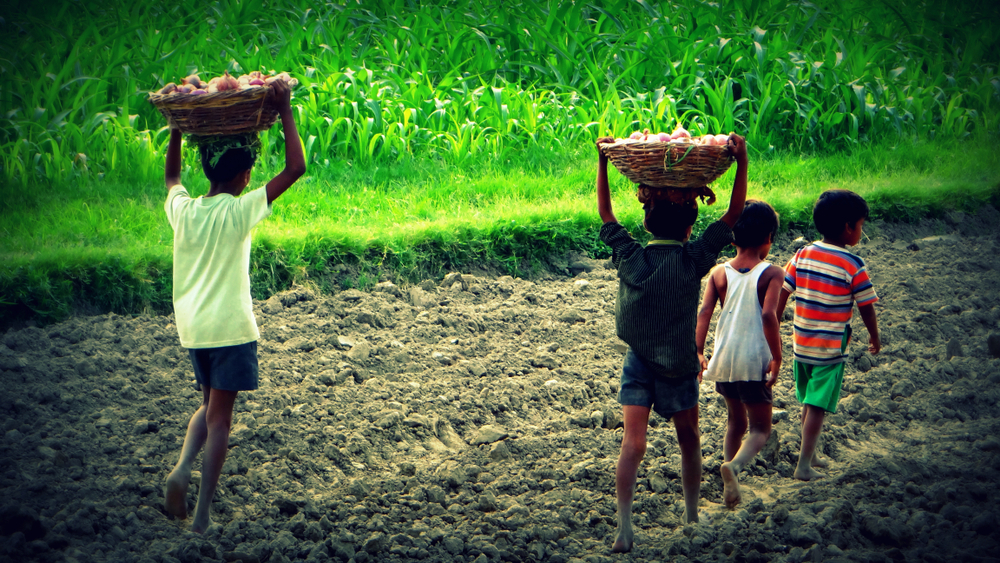 Child Labor in India